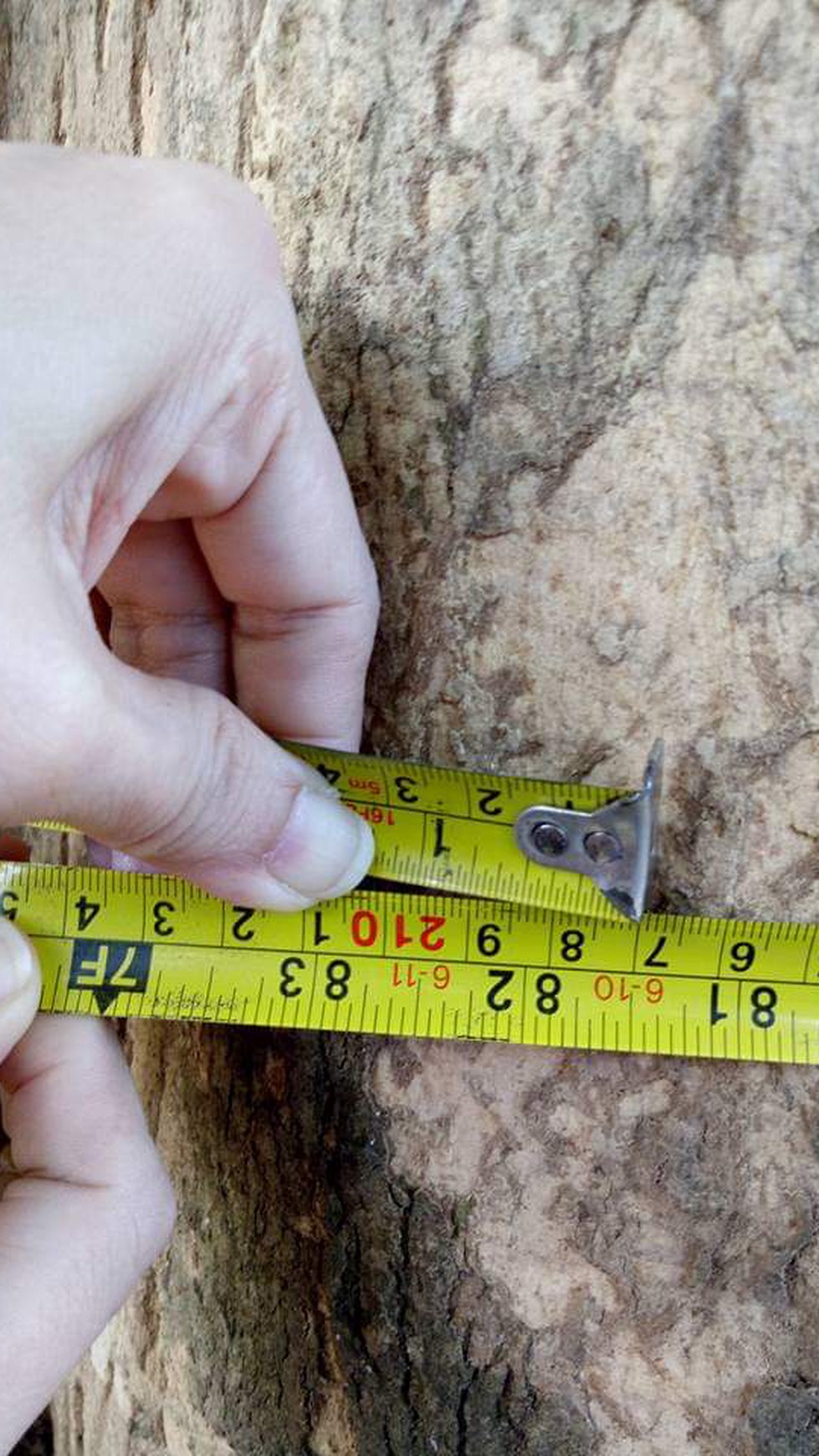 Kavling siap bangun bonus rumah depan sport center jauh lebih luas dibanding kavling citragran