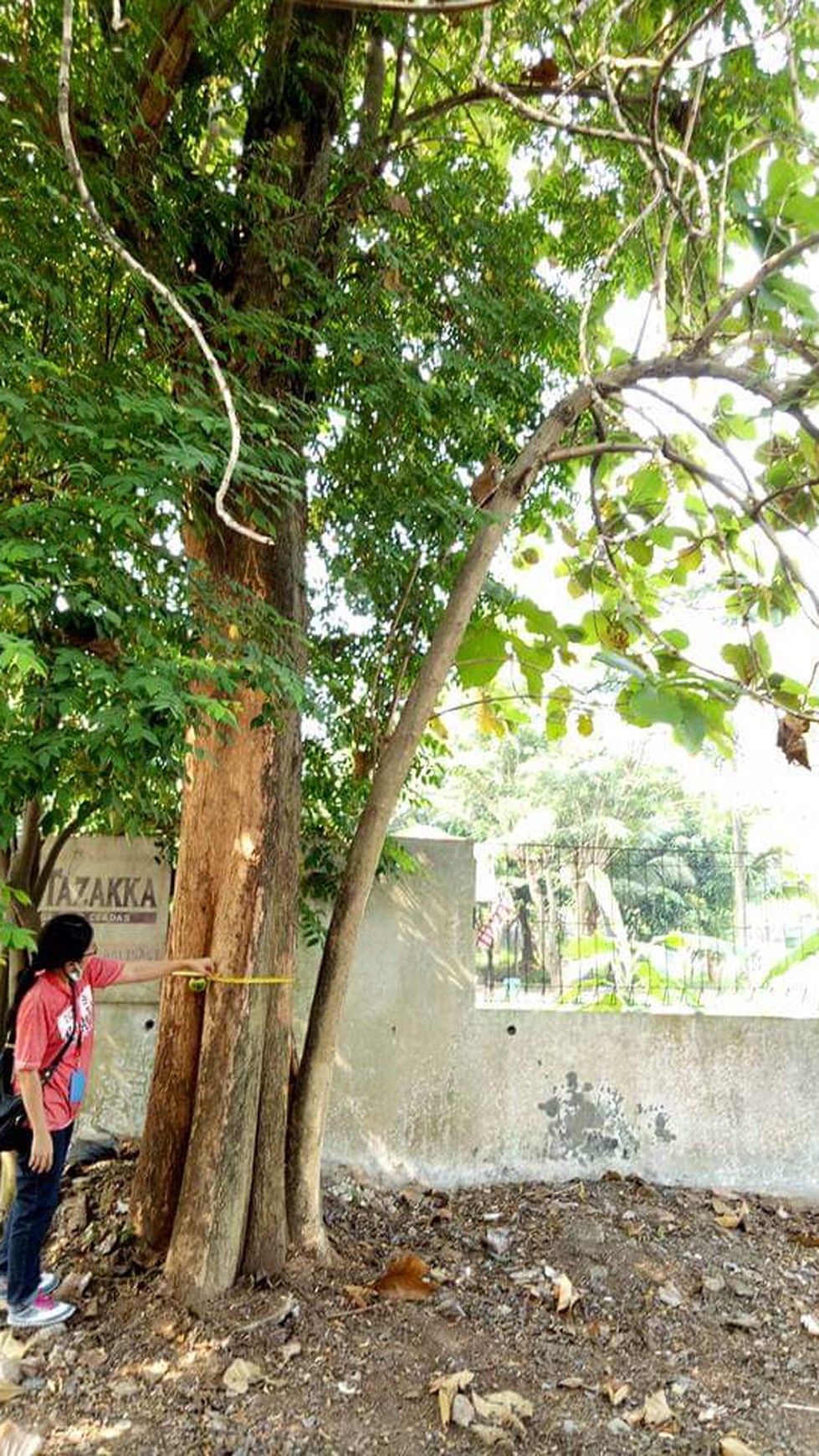 Kavling siap bangun bonus rumah depan sport center jauh lebih luas dibanding kavling citragran