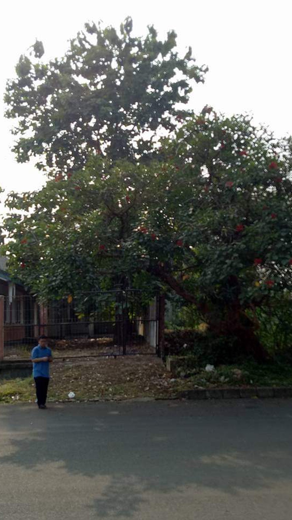 Kavling siap bangun bonus rumah depan sport center jauh lebih luas dibanding kavling citragran