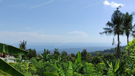 OCEAN VIEW FREEHOLD LAND FOR SALE IN LOVINA