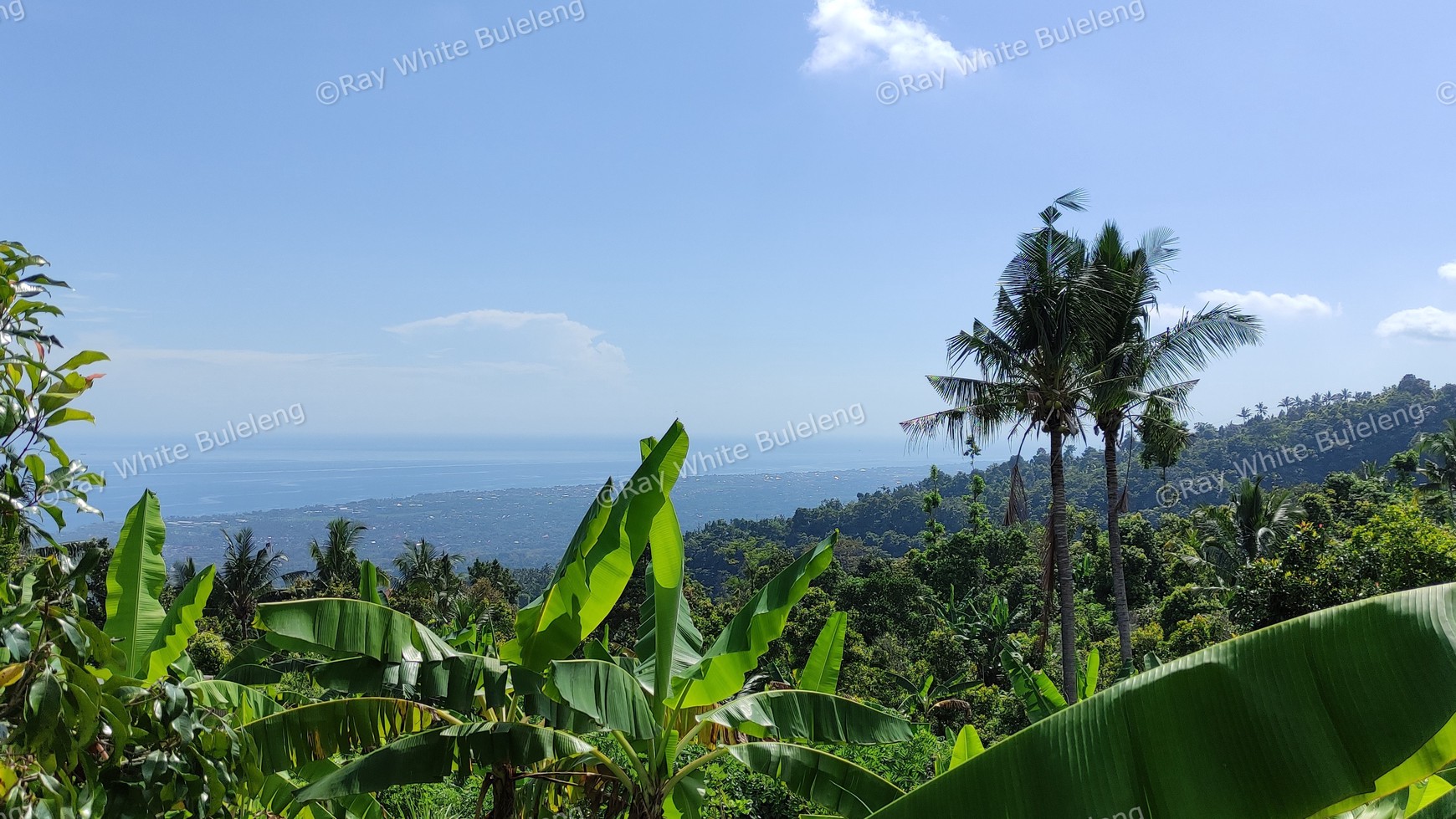OCEAN VIEW FREEHOLD LAND FOR SALE IN LOVINA