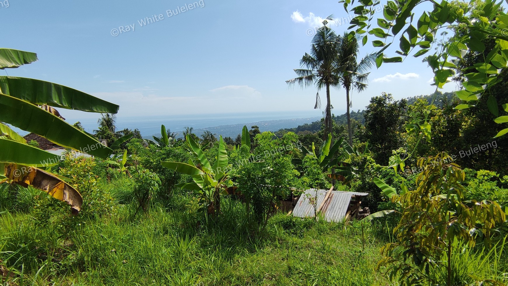 OCEAN VIEW FREEHOLD LAND FOR SALE IN LOVINA