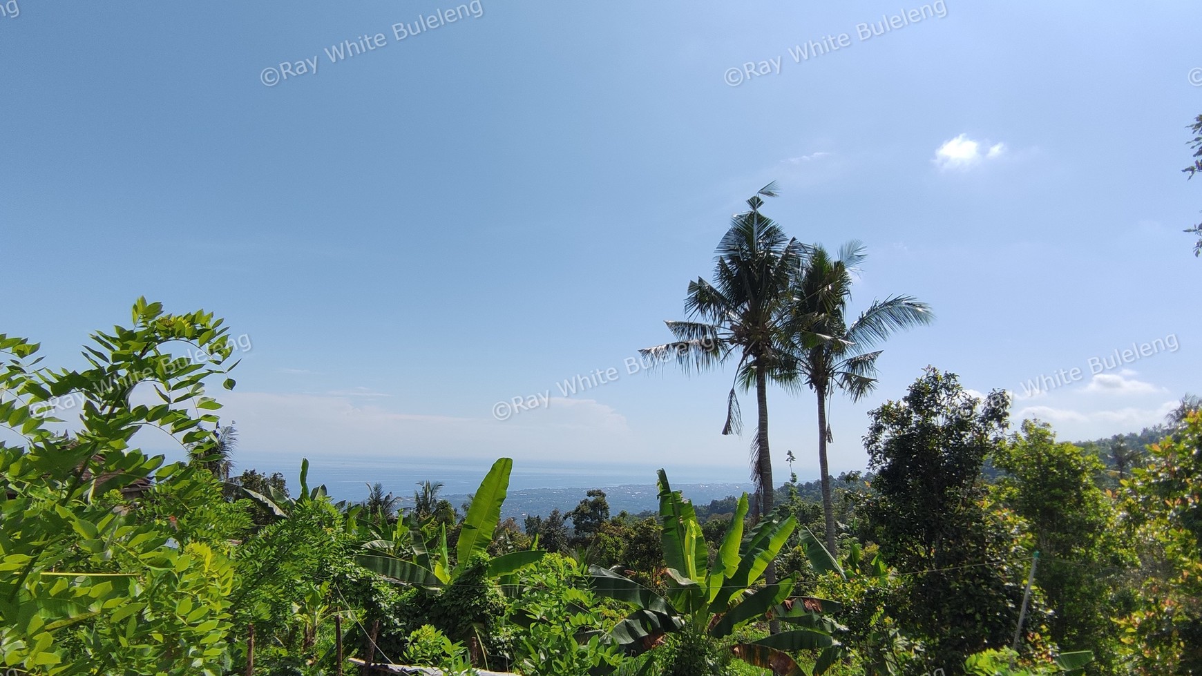 OCEAN VIEW FREEHOLD LAND FOR SALE IN LOVINA