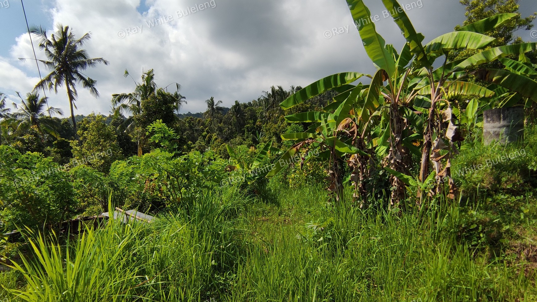 OCEAN VIEW FREEHOLD LAND FOR SALE IN LOVINA