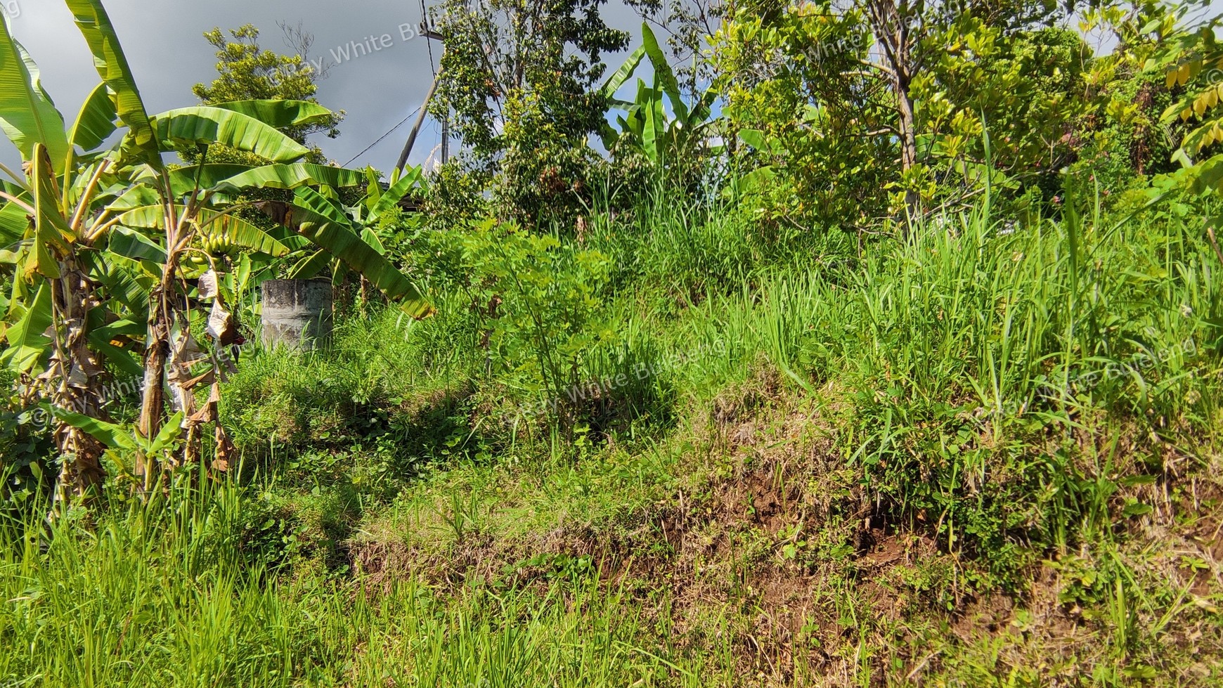 OCEAN VIEW FREEHOLD LAND FOR SALE IN LOVINA