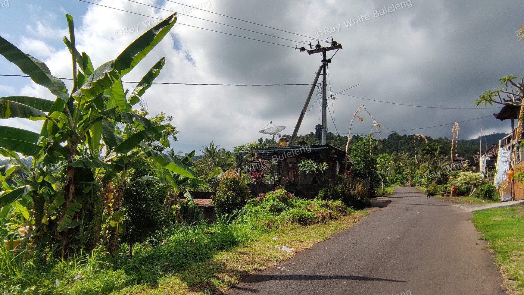 OCEAN VIEW FREEHOLD LAND FOR SALE IN LOVINA