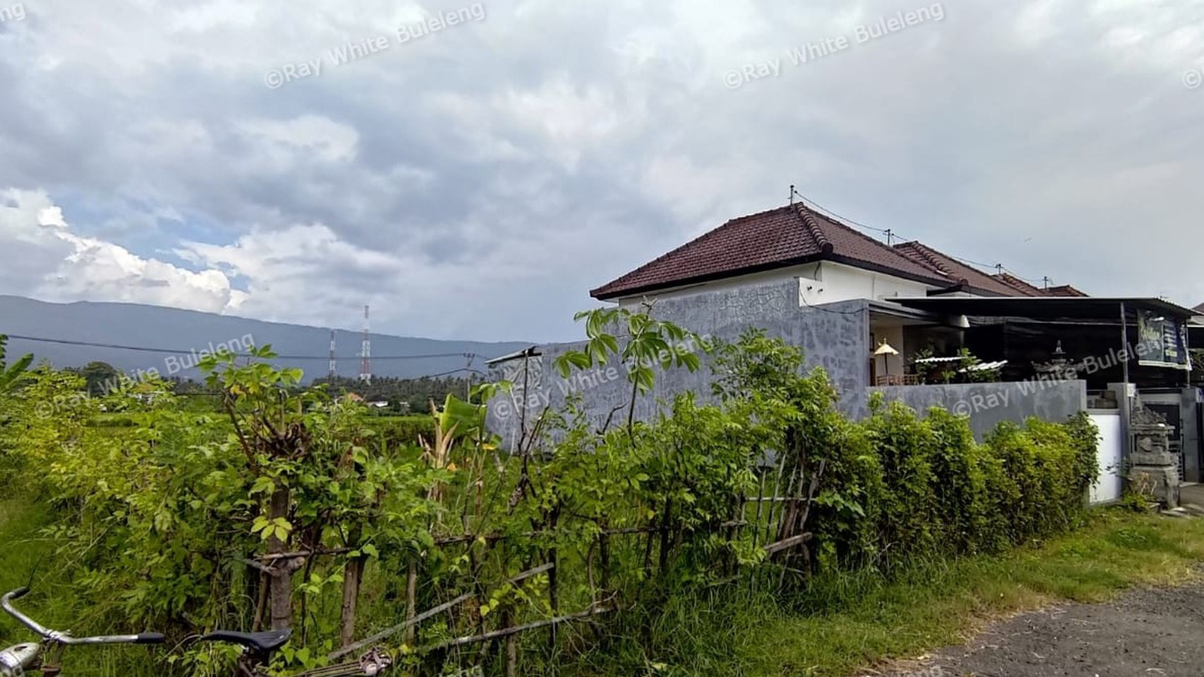 FREEHOLD LAND FOR SALE IN LOVINA AREA WITH RICE FIELD AND MOUNTAIN VIEWS