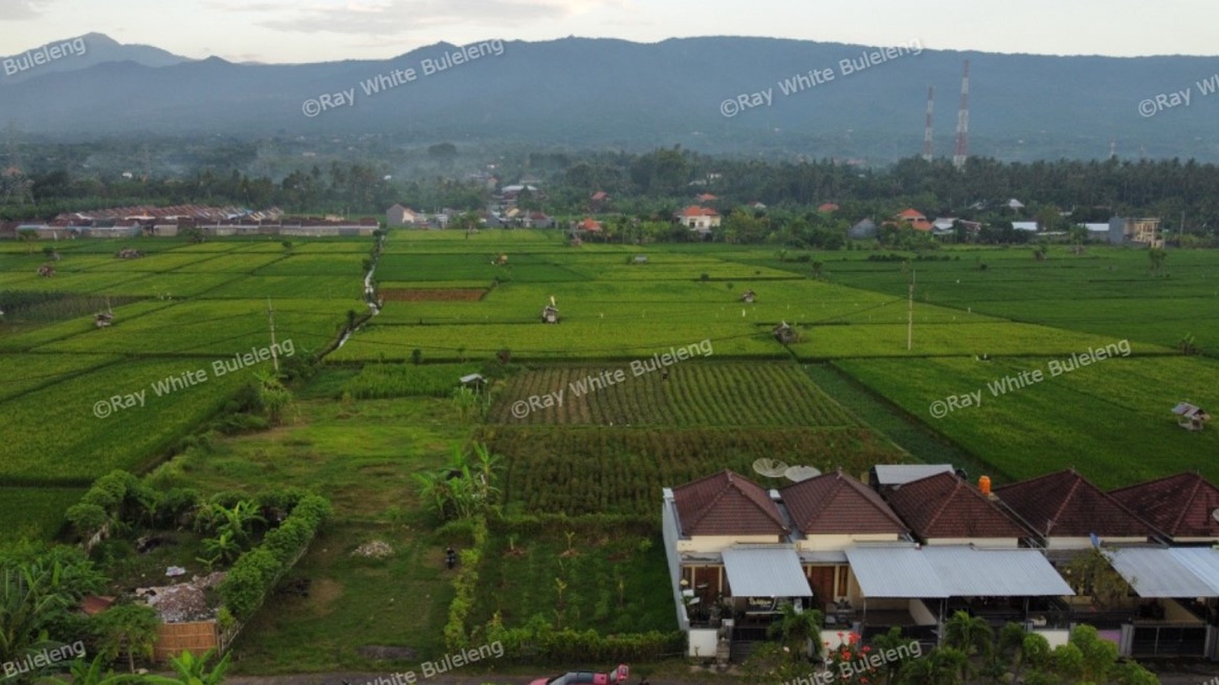 FREEHOLD LAND FOR SALE IN LOVINA AREA WITH RICE FIELD AND MOUNTAIN VIEWS