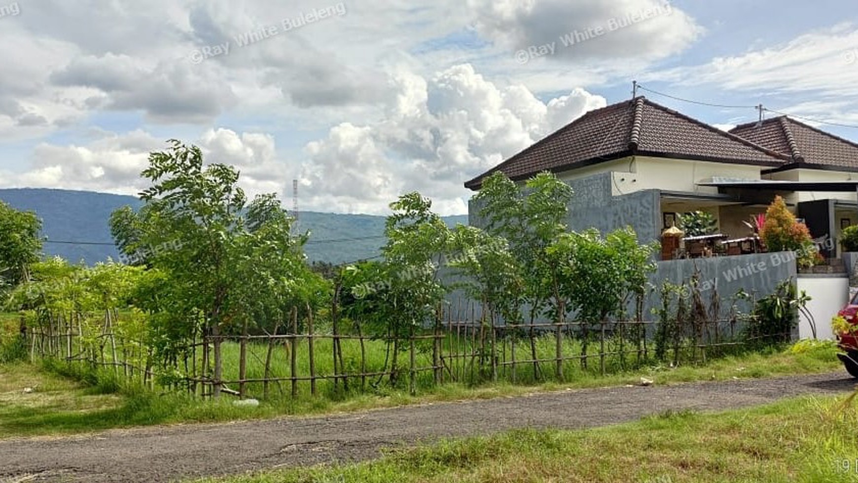 FREEHOLD LAND FOR SALE IN LOVINA AREA WITH RICE FIELD AND MOUNTAIN VIEWS