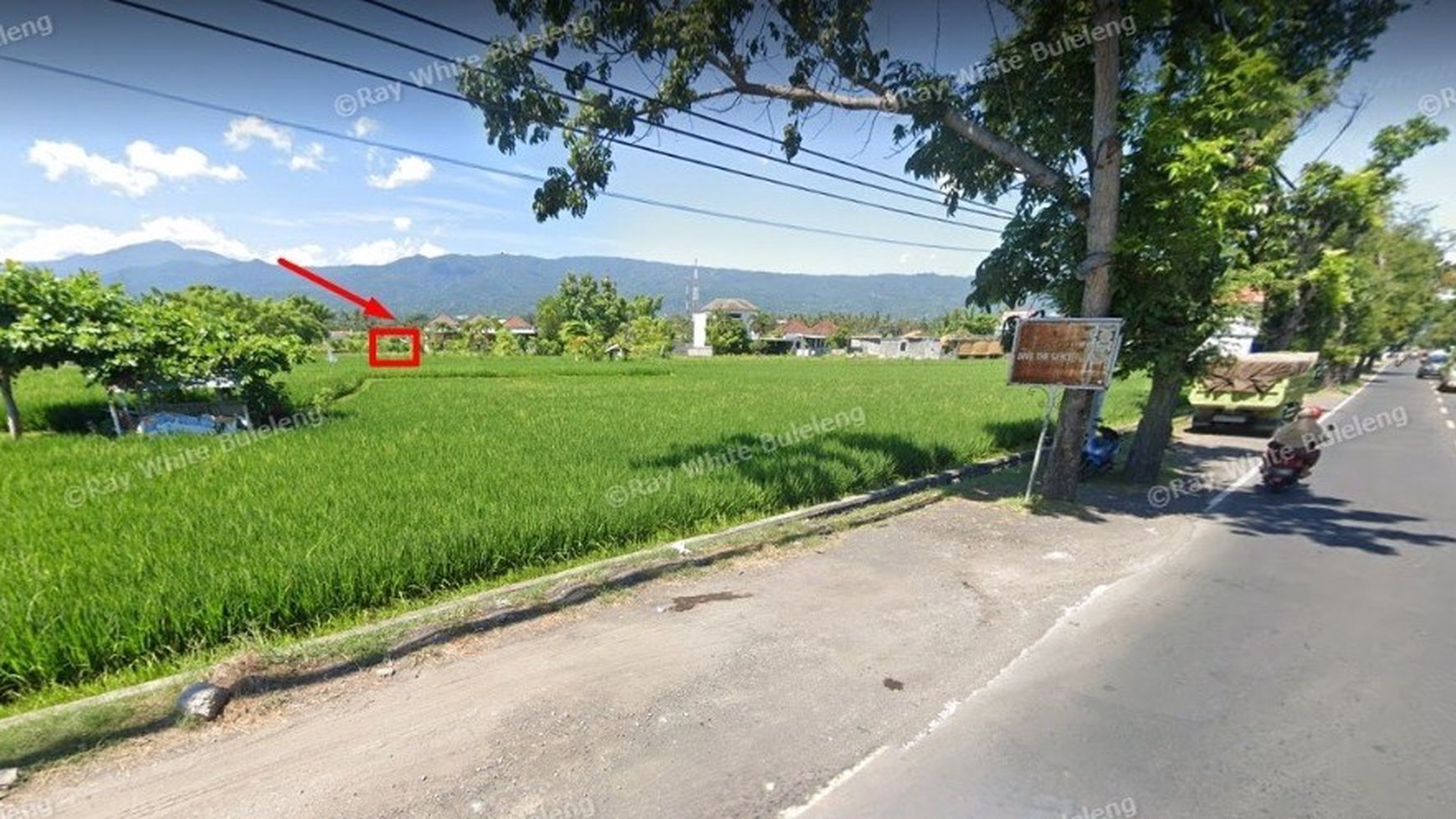 FREEHOLD LAND FOR SALE IN LOVINA AREA WITH RICE FIELD AND MOUNTAIN VIEWS