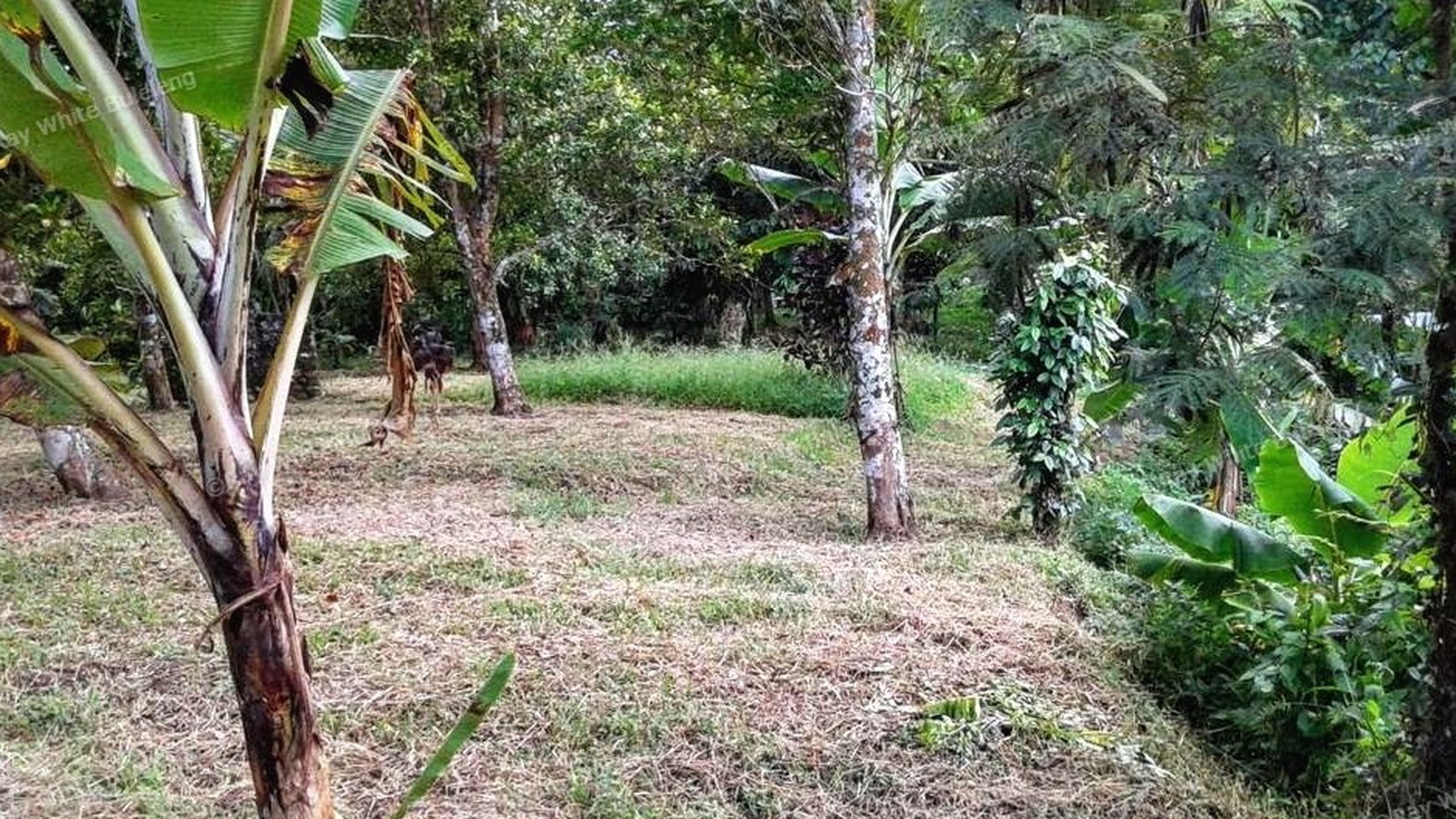 CHEAP LAND FOR SALE IN BUSUNGBIU
