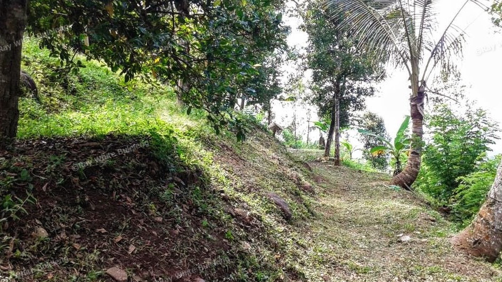 CHEAP LAND FOR SALE IN BUSUNGBIU