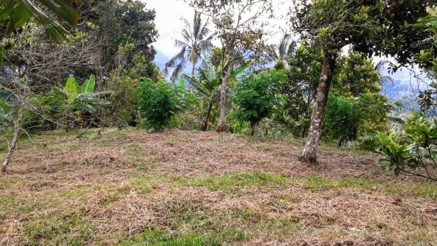 CHEAP LAND FOR SALE IN BUSUNGBIU