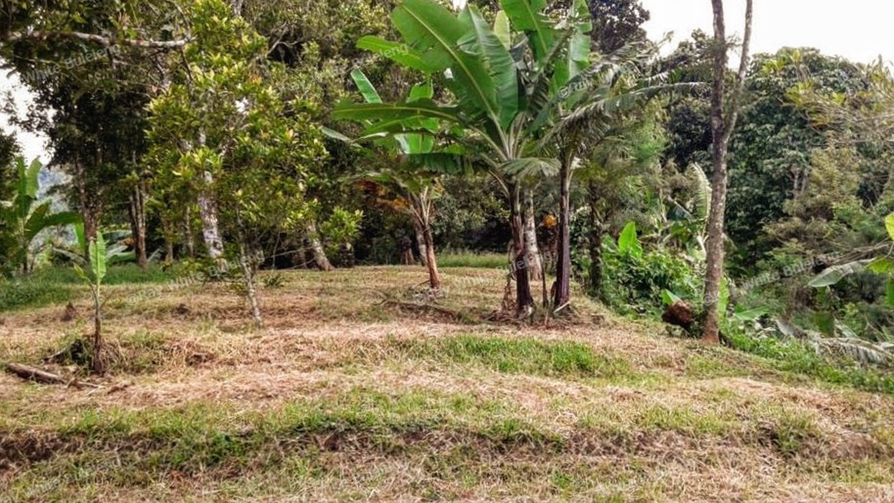 CHEAP LAND FOR SALE IN BUSUNGBIU
