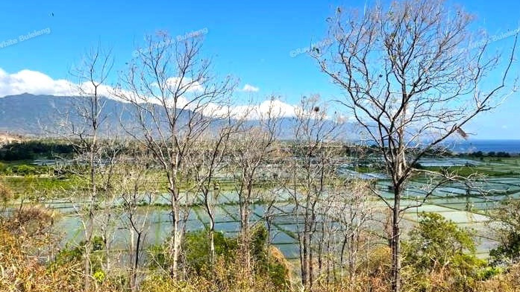 UMEANYAR RIDGE 9 ARE PLOT AT GREAT VALUE