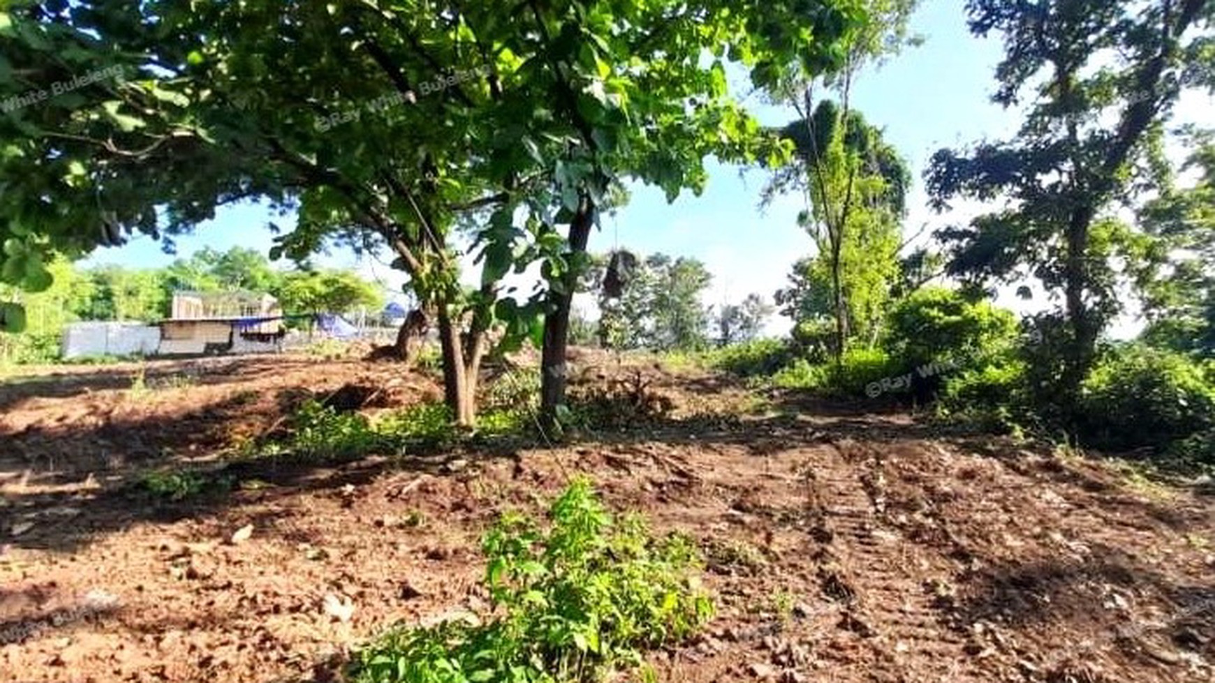 UMEANYAR RIDGE 9 ARE PLOT AT GREAT VALUE