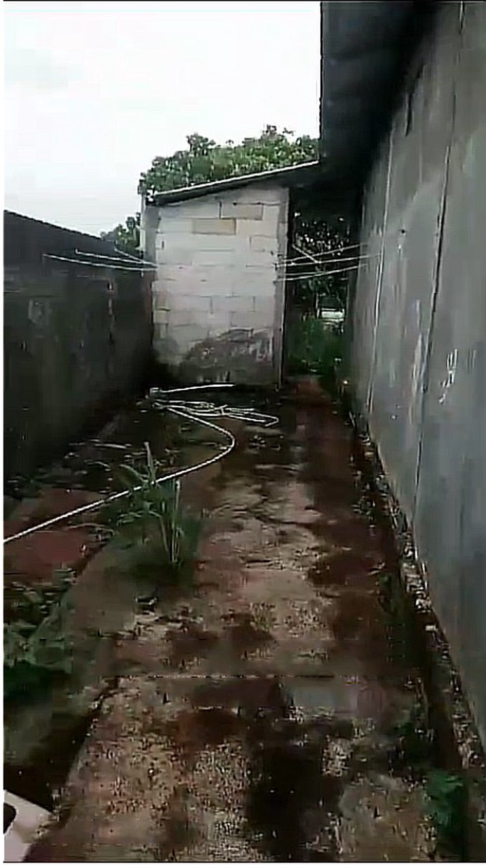 Rumah Hitung Kavling di Kampung Pisang, Karadenan, Cibinong, Bogor