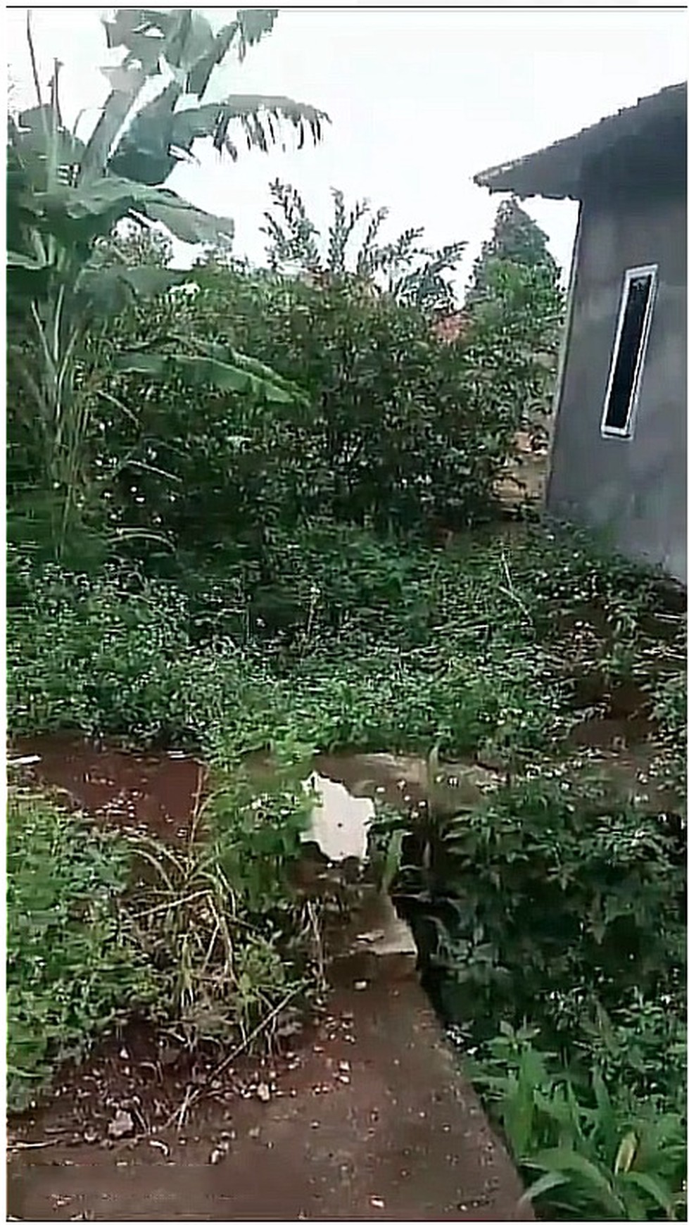 Rumah Hitung Kavling di Kampung Pisang, Karadenan, Cibinong, Bogor