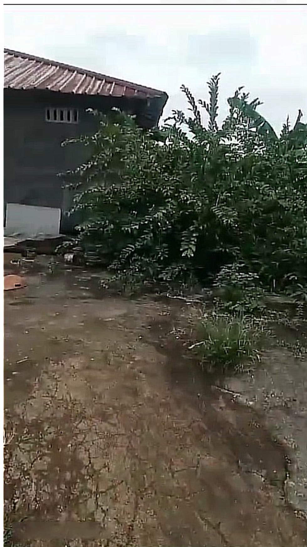 Rumah Hitung Kavling di Kampung Pisang, Karadenan, Cibinong, Bogor