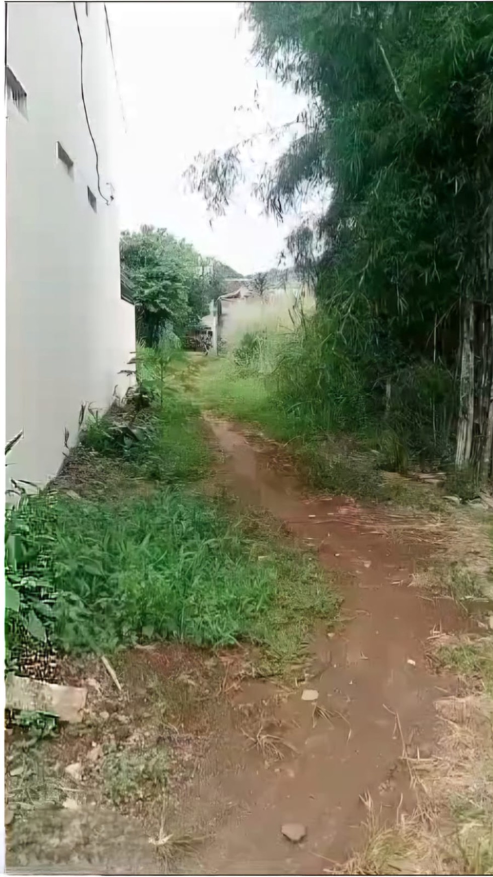 Rumah Hitung Kavling di Kampung Pisang, Karadenan, Cibinong, Bogor