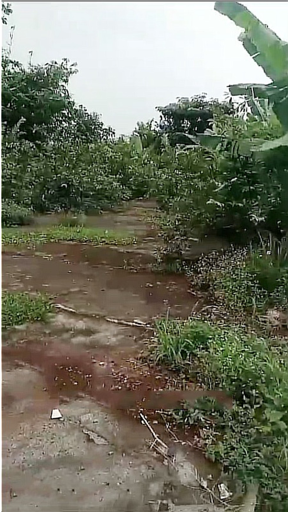 Rumah Hitung Kavling di Kampung Pisang, Karadenan, Cibinong, Bogor