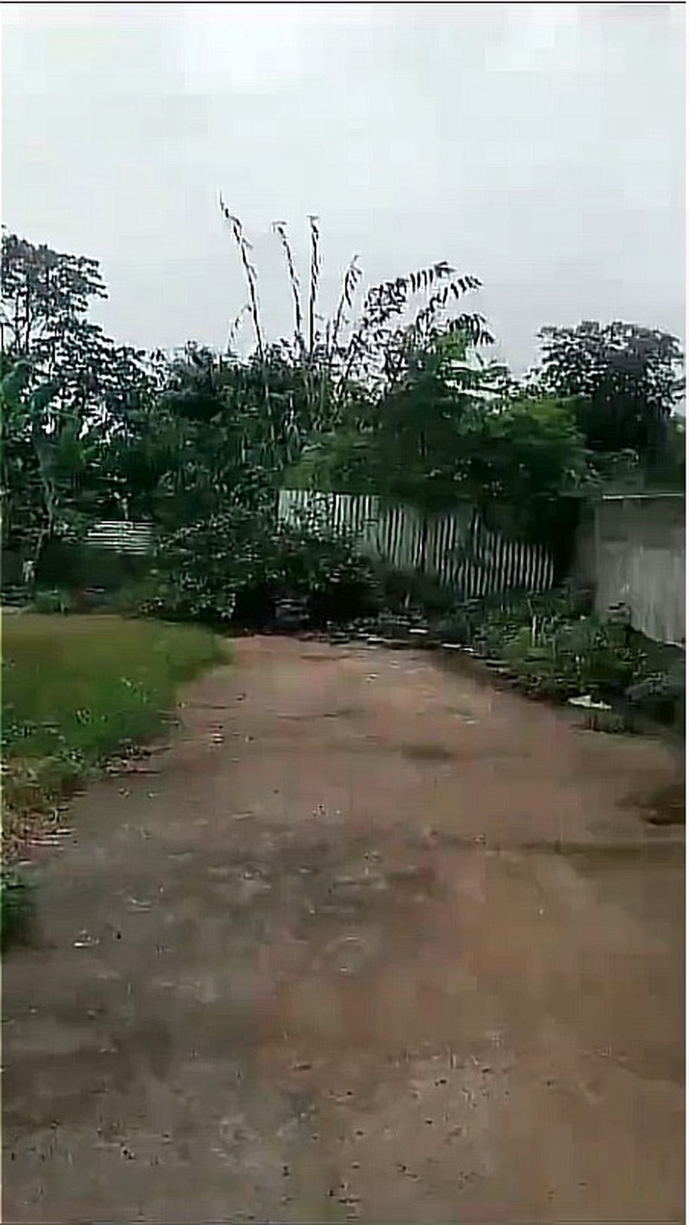 Rumah Hitung Kavling di Kampung Pisang, Karadenan, Cibinong, Bogor