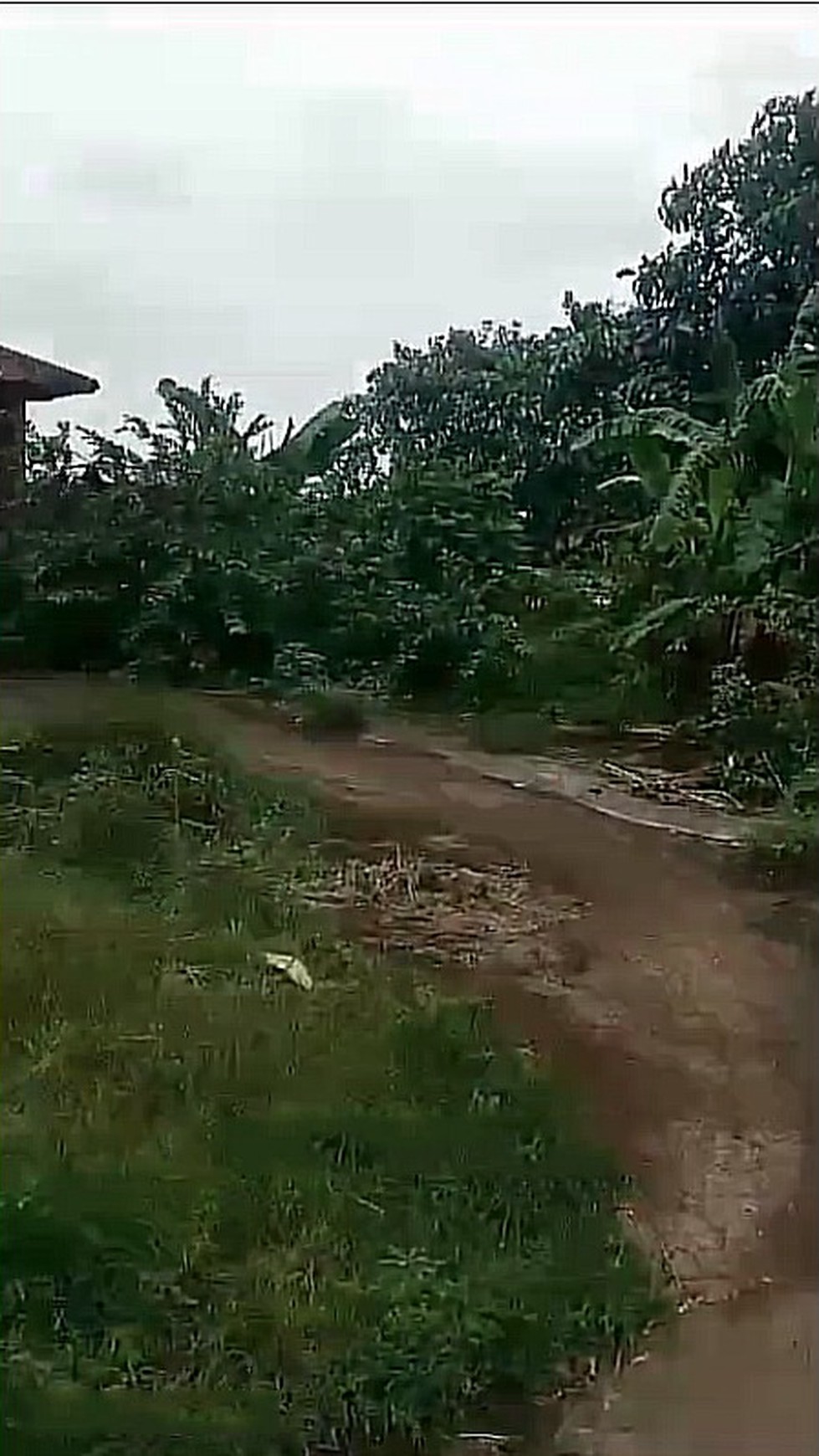 Rumah Hitung Kavling di Kampung Pisang, Karadenan, Cibinong, Bogor