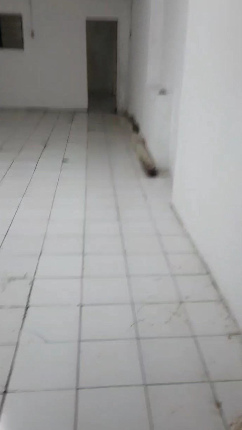 Dijual Cepat Rumah 1,5 Lantai di Donokerto Surabaya - 4 KT, Harga 550 Juta NEGO