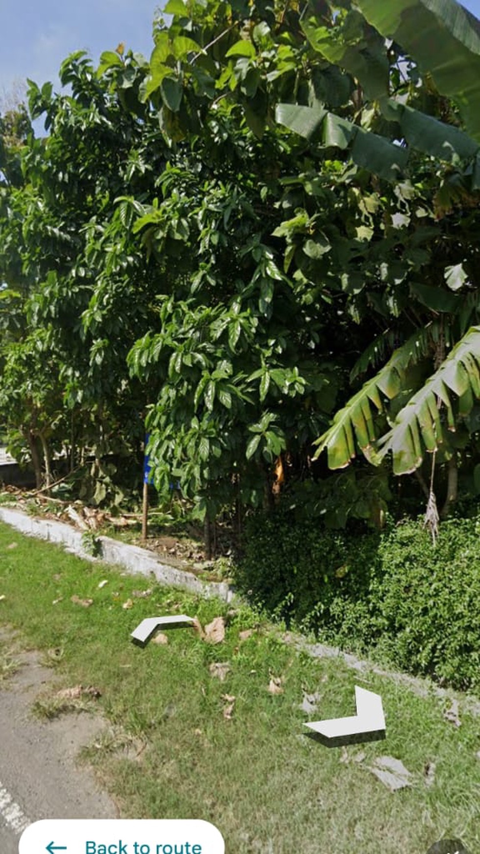 Tanah Pekarangan Luas 1150 Meter Persegi Dekat Pusat Kota Wates