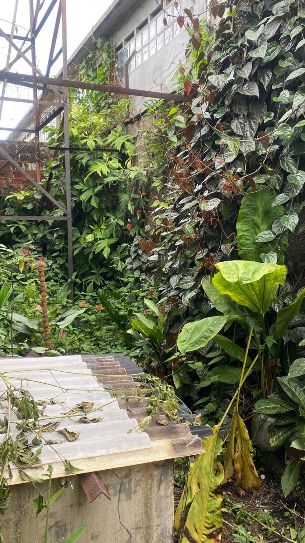 Rumah Strategis di Sayap Rajawali Timur Kec Andir Bandung