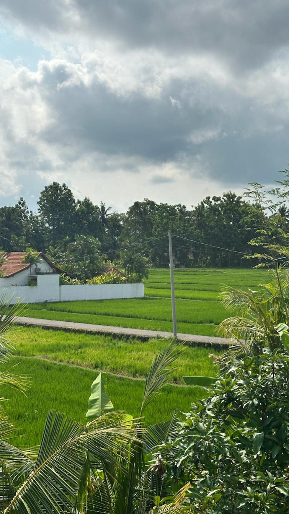 For Sale Charming Balinese-Style Villa in Ubud