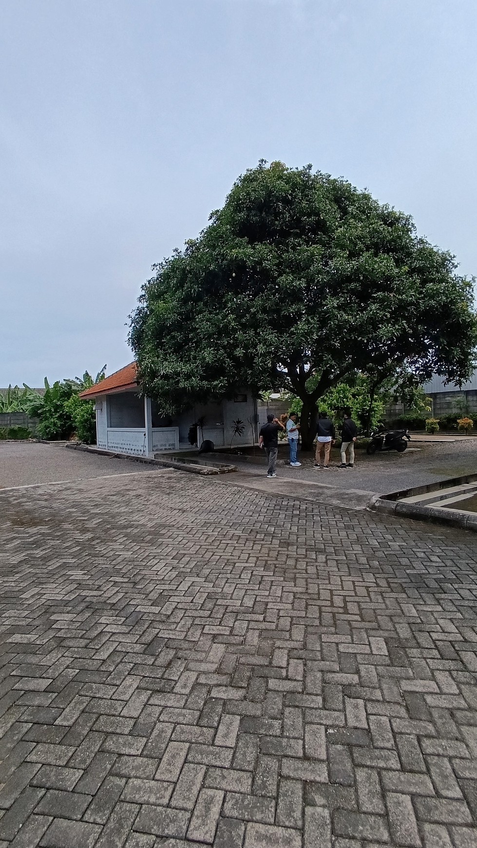 Jual Gudang Dekat Tol Dan Bandara Juanda Termurah Di Berbek Industri Waru.