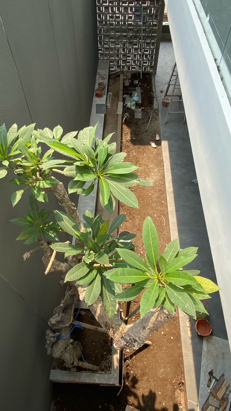 Rumah New Mewah Citraland 10M-an Citraland Surabaya