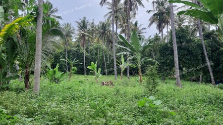 8025 M2 LAND FOR SALE