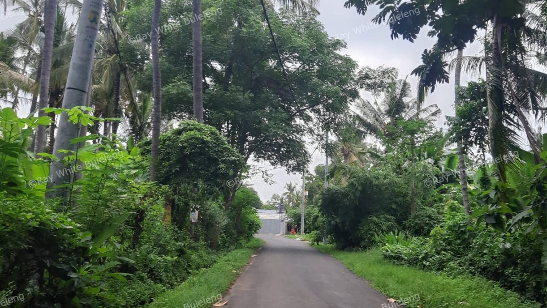8025 M2 LAND FOR SALE
