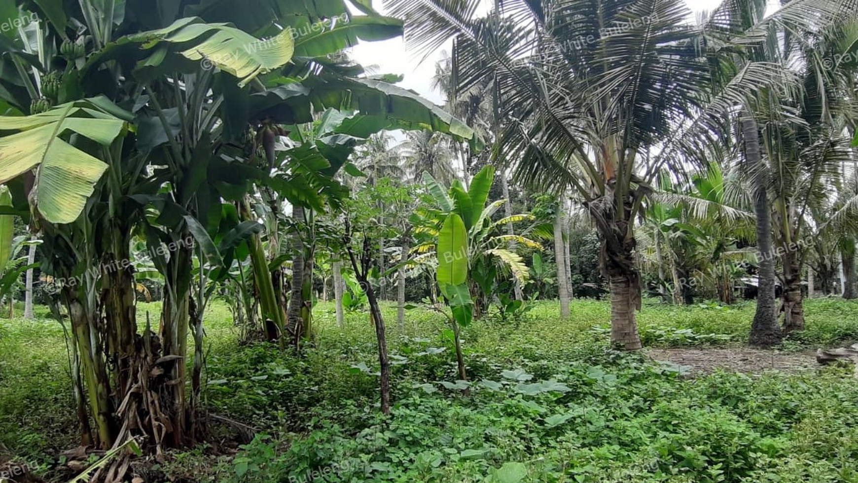 8025 M2 LAND FOR SALE
