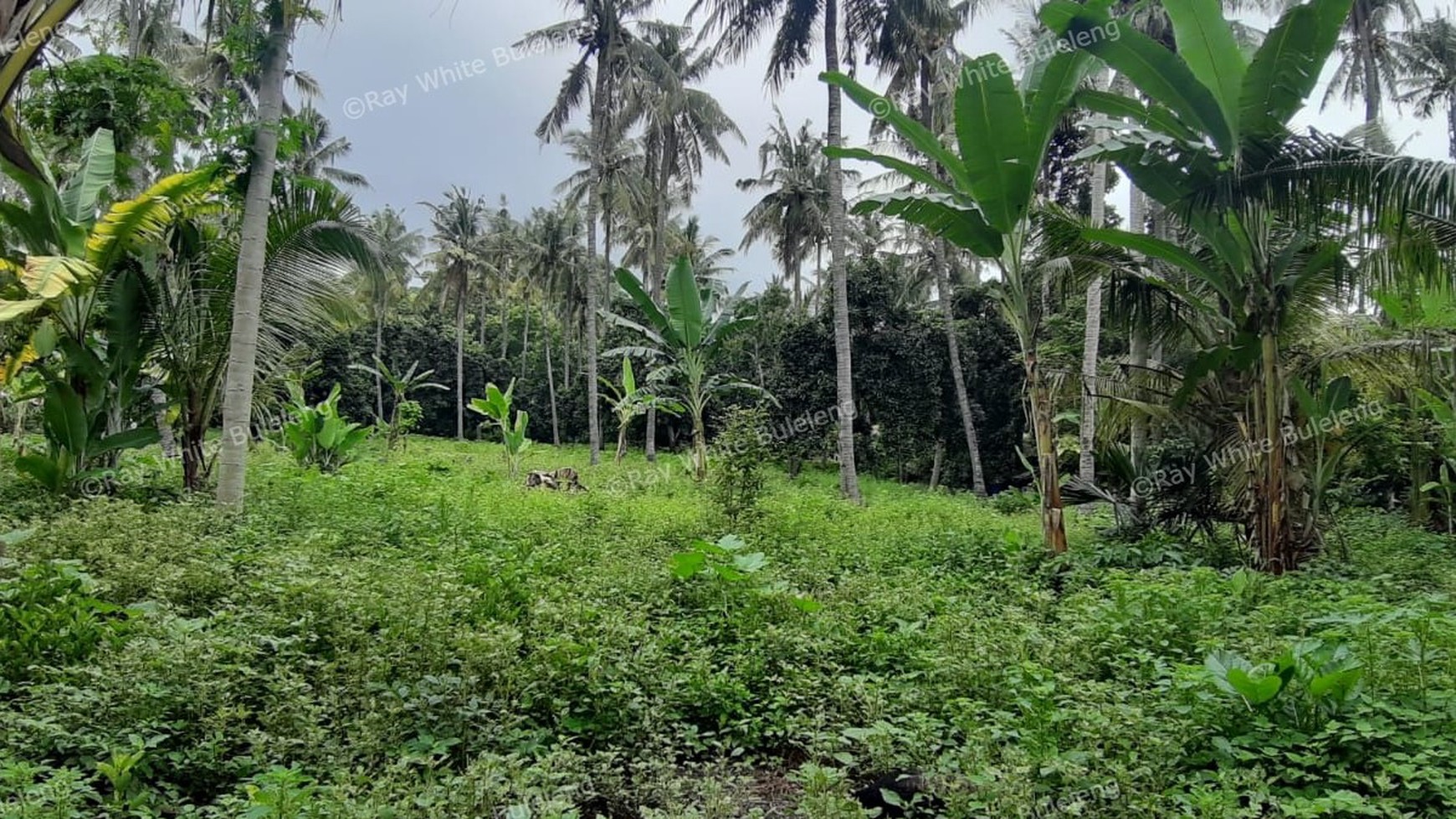 8025 M2 LAND FOR SALE