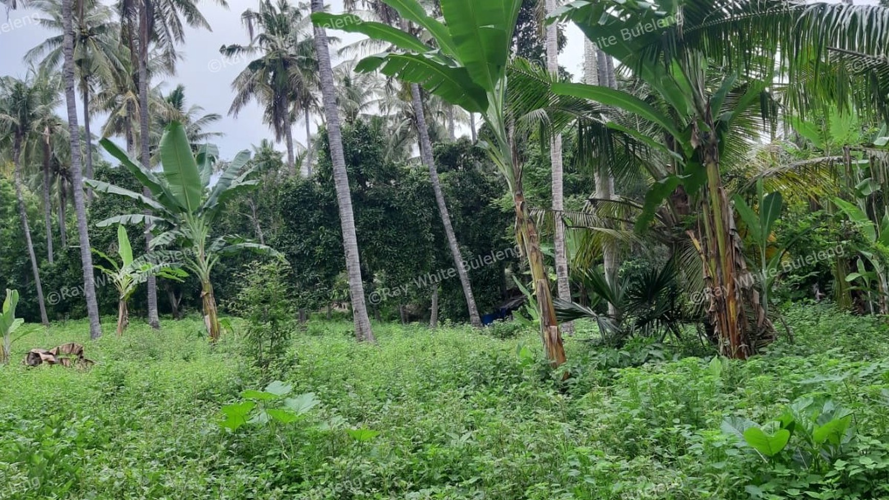 8025 M2 LAND FOR SALE