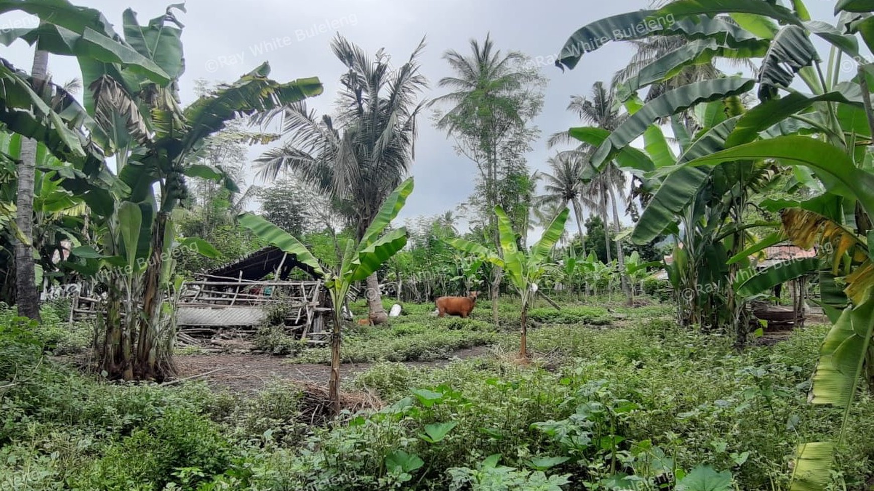 8025 M2 LAND FOR SALE
