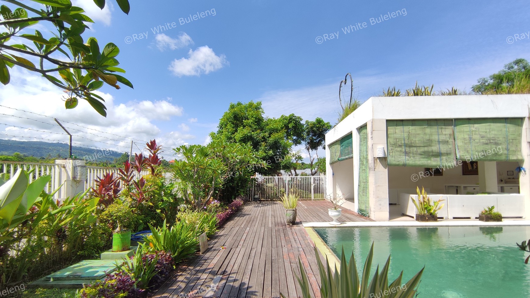 FREEHOLD VILLA IN LOVINA AREA