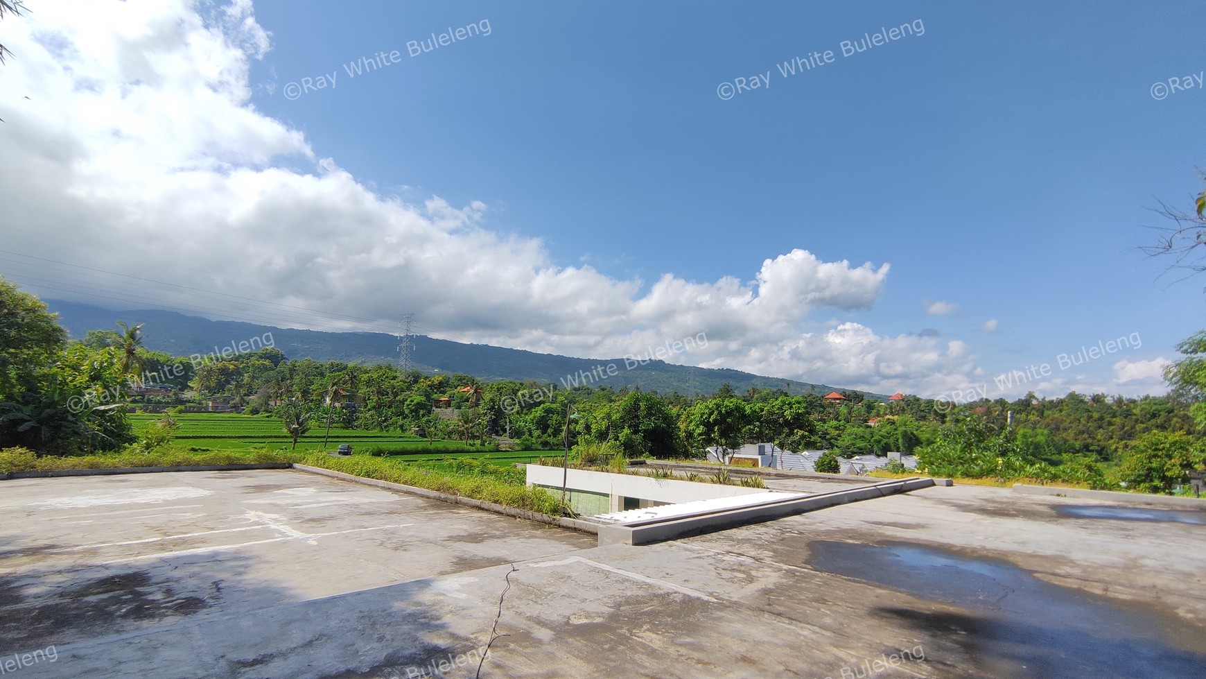 FREEHOLD VILLA IN LOVINA AREA