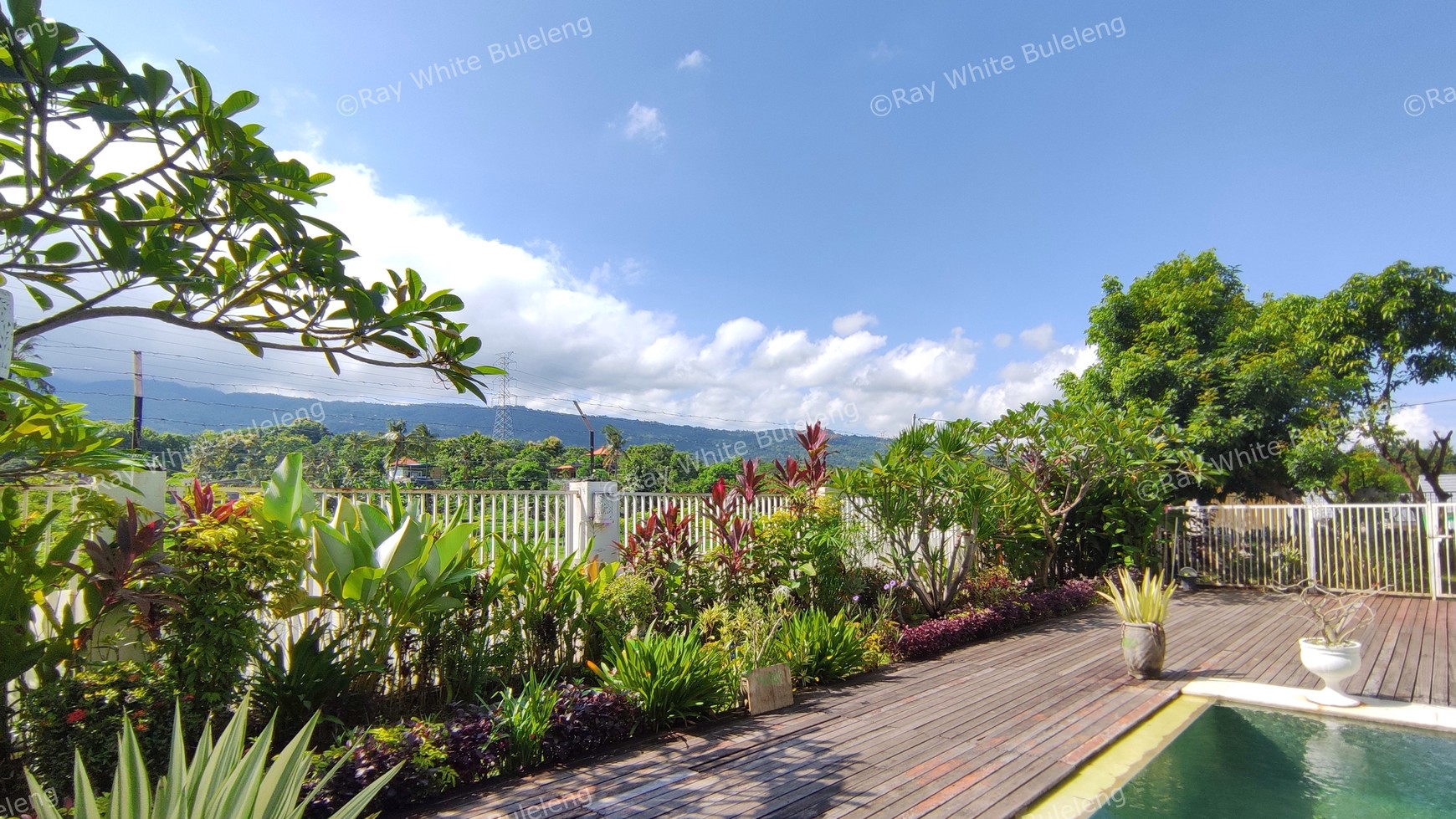 FREEHOLD VILLA IN LOVINA AREA