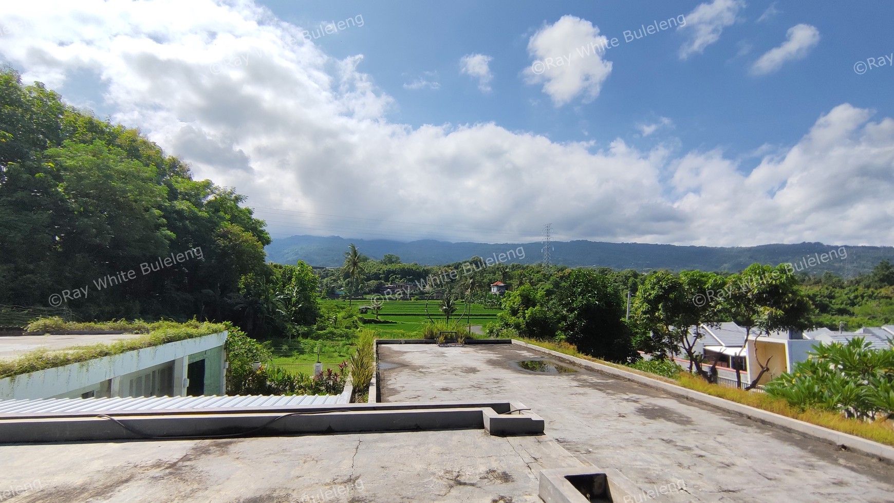FREEHOLD VILLA IN LOVINA AREA