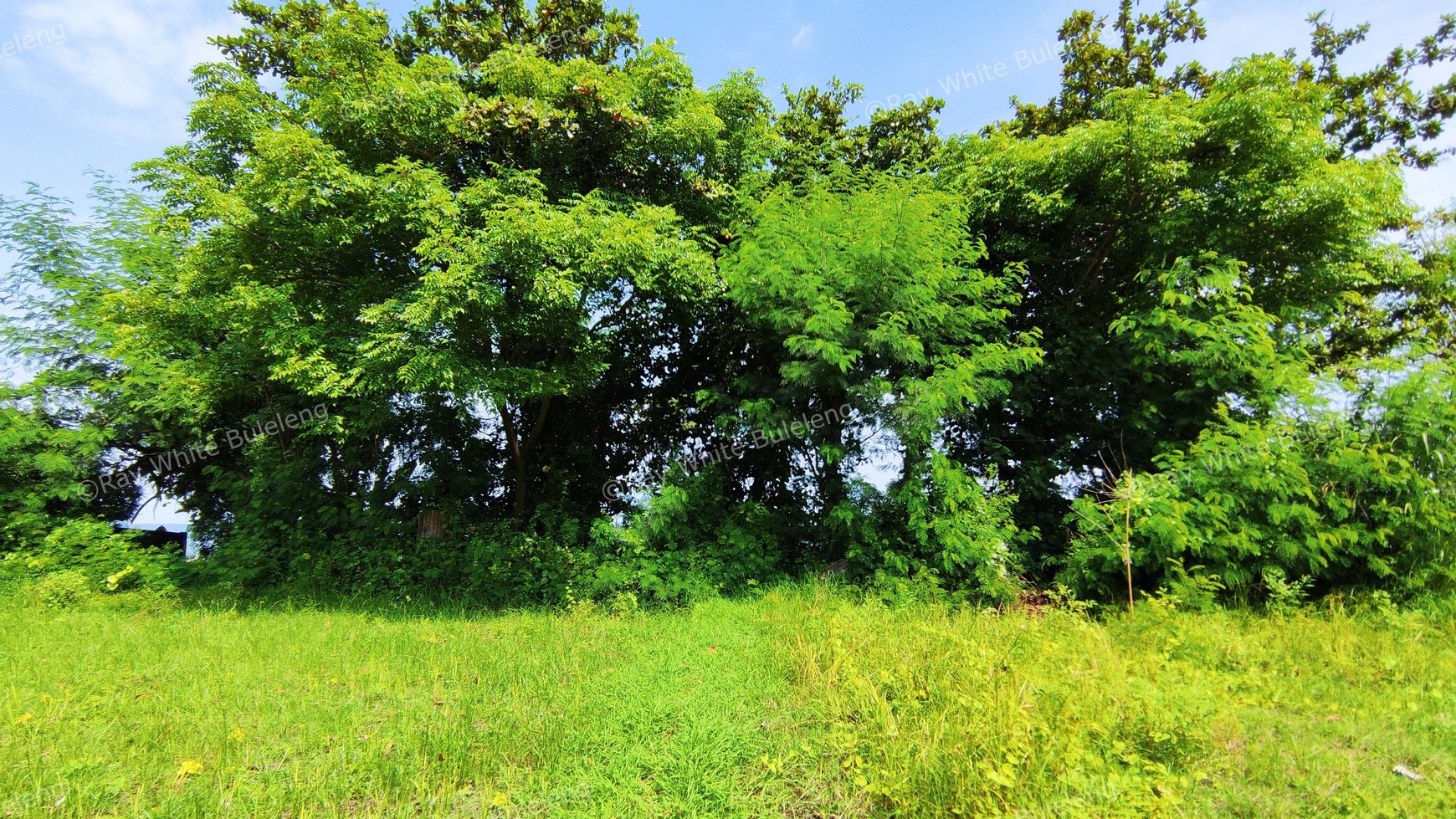 Great Opportunity Beachfront Land In Seririt