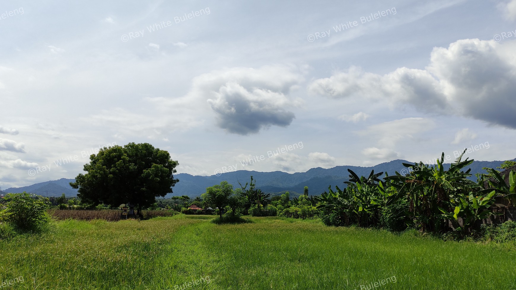 Great Opportunity Beachfront Land In Seririt