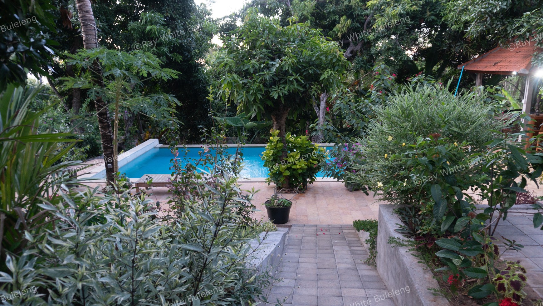 4 BEDROOMS VILLA IN LOVINA - FREEHOLD