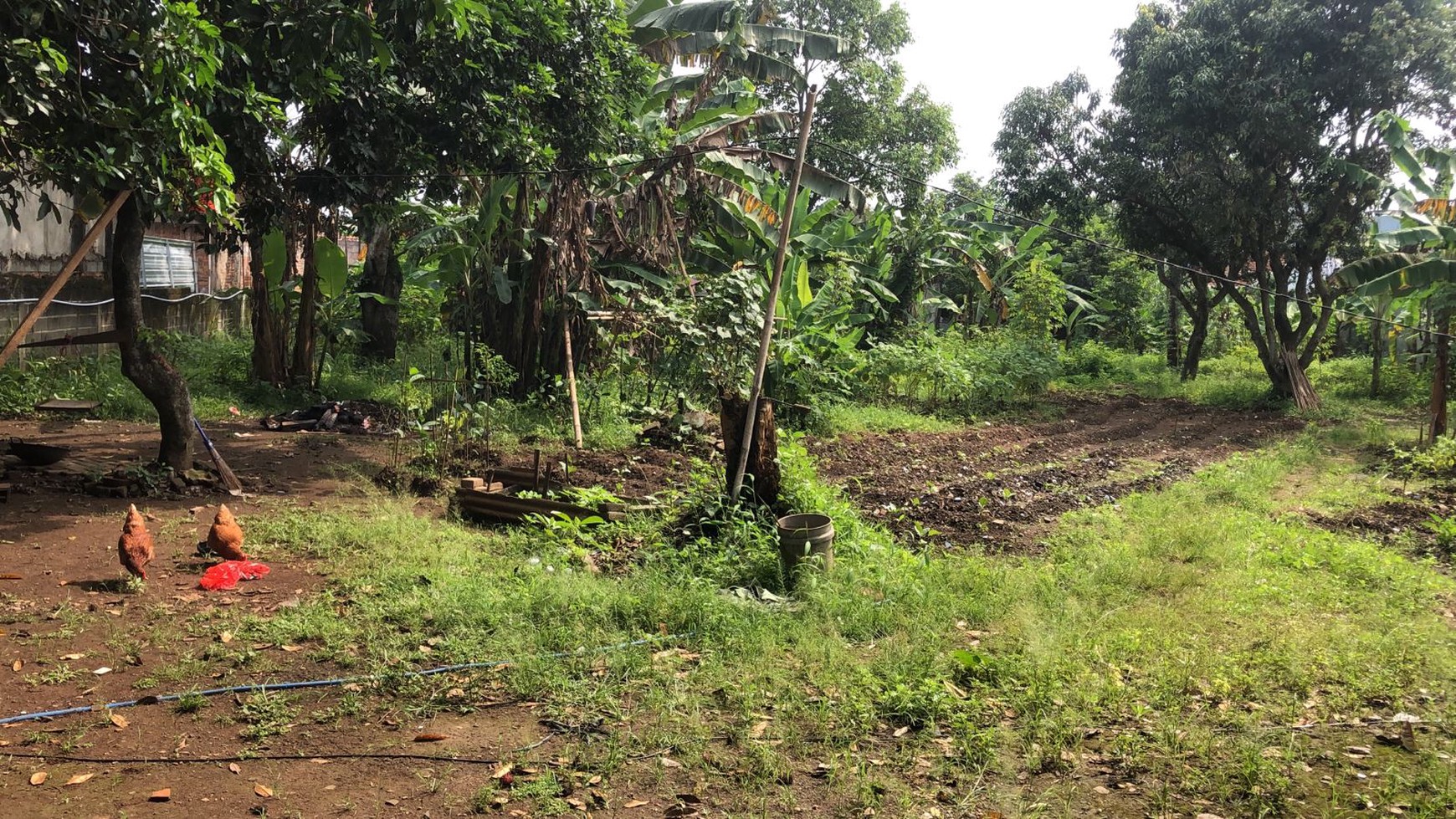 Dijual Lahan Tanah Cocok buat Gudang di jalan Raya dekat alun - alun Kabupaten Jonggol
