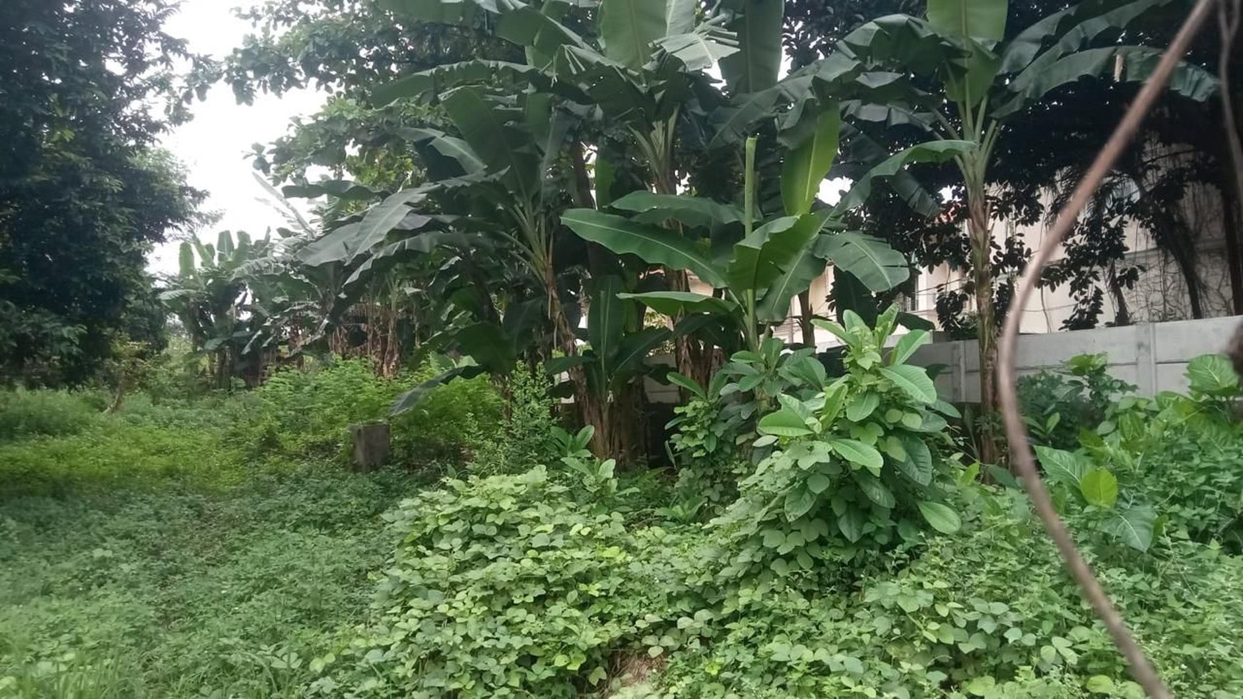 Dijual Lahan di Lebak Bulus