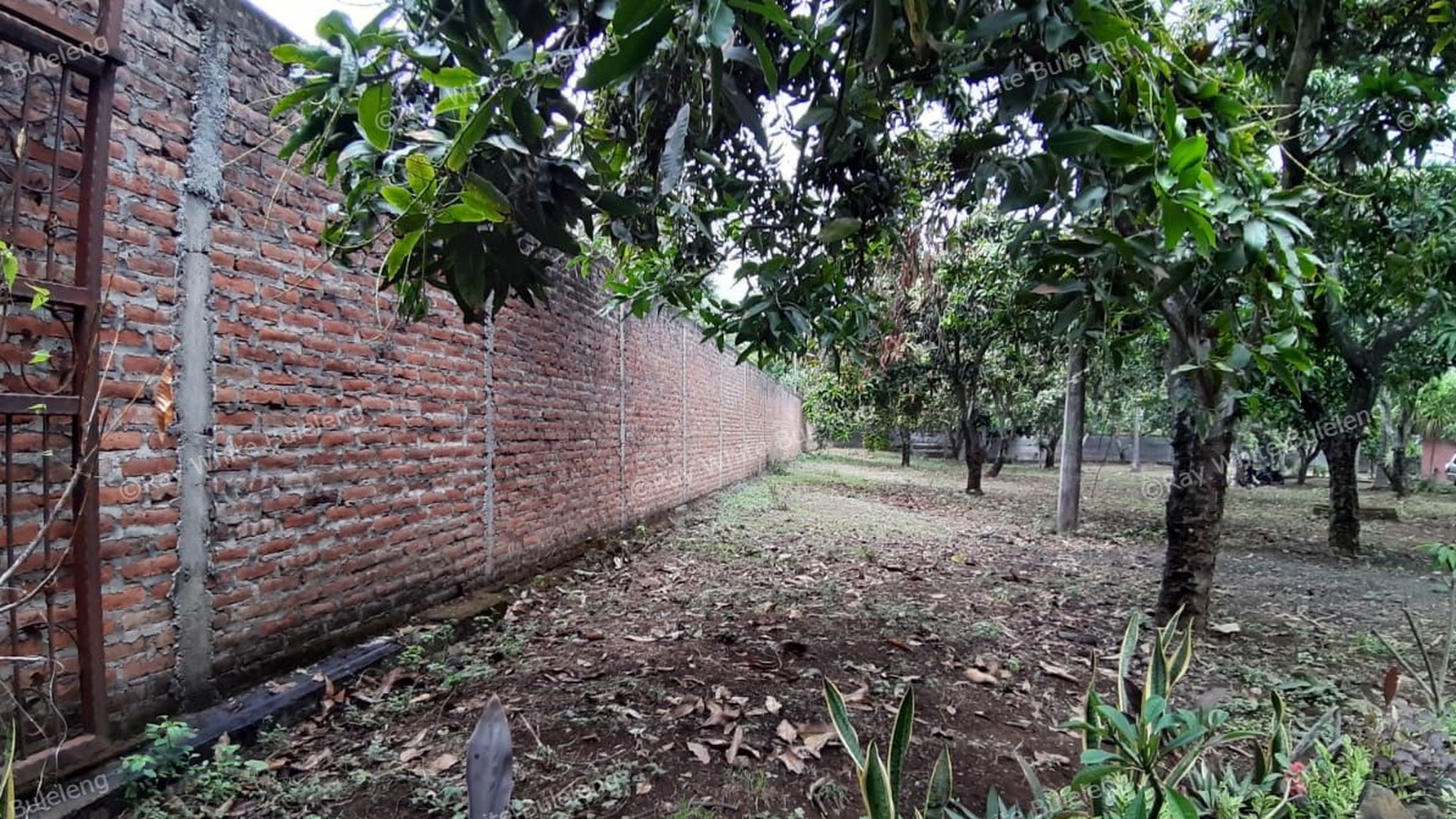 Beachfront Land at Kubutambahan
