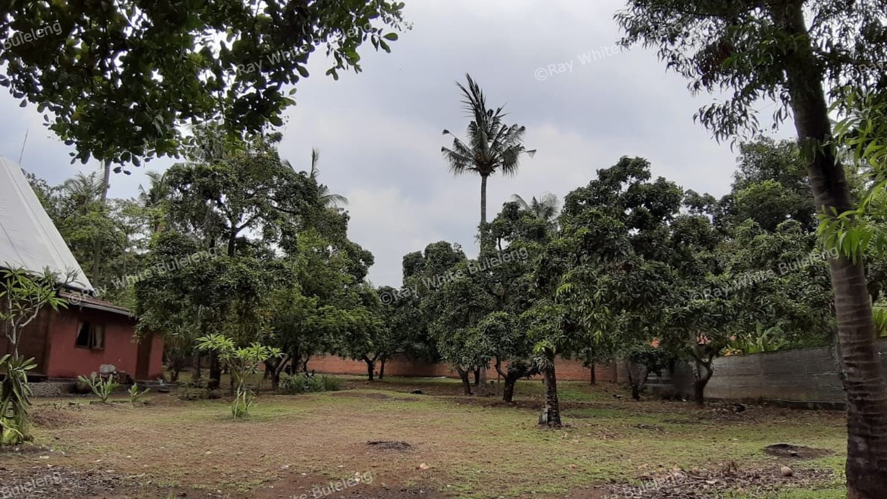 Beachfront Land at Kubutambahan